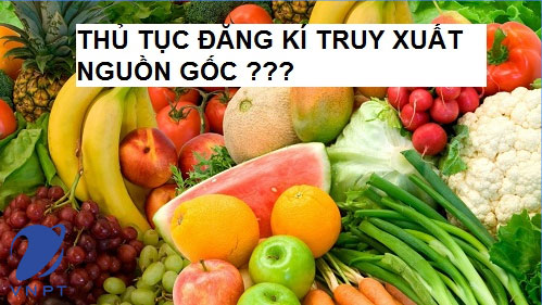 đăng ký tem truy xuất nguồn gốc sản phẩm vnpt check